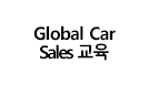 GlobalCarSales교육