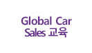 GlobalCarSales교육