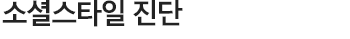 소셜스타일 진단